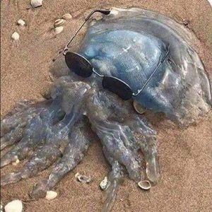 Meet your Posher, Ted